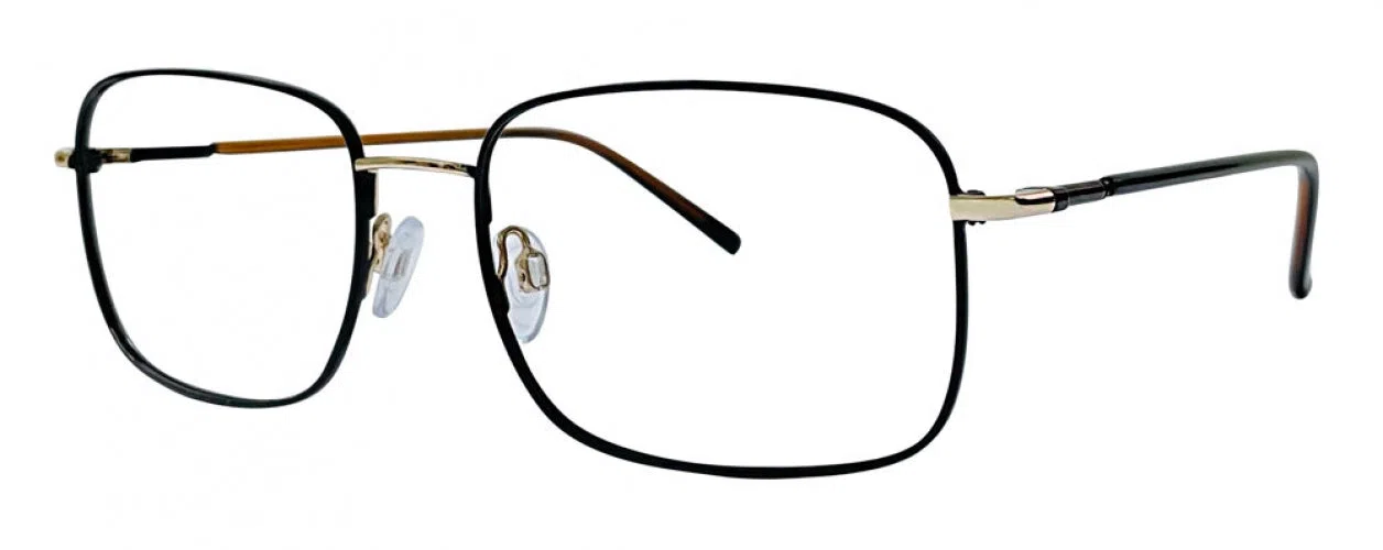 Stetson Stainless SSS603 Eyeglasses - Noir/gold